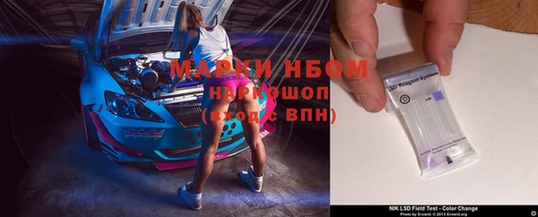 бошки Белокуриха