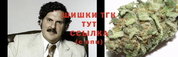 бошки Белокуриха