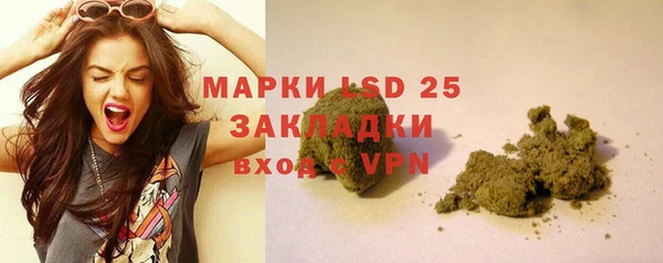 бошки Белокуриха