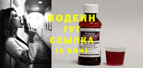 шишки Баксан