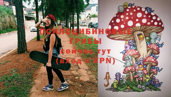 бошки Белокуриха