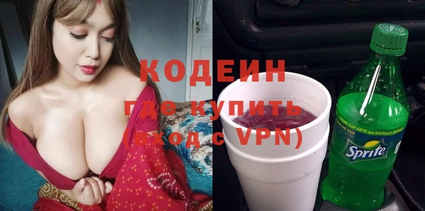 шишки Баксан