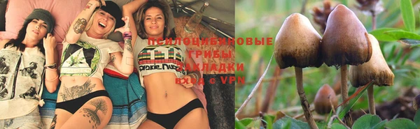 2c-b Белоозёрский