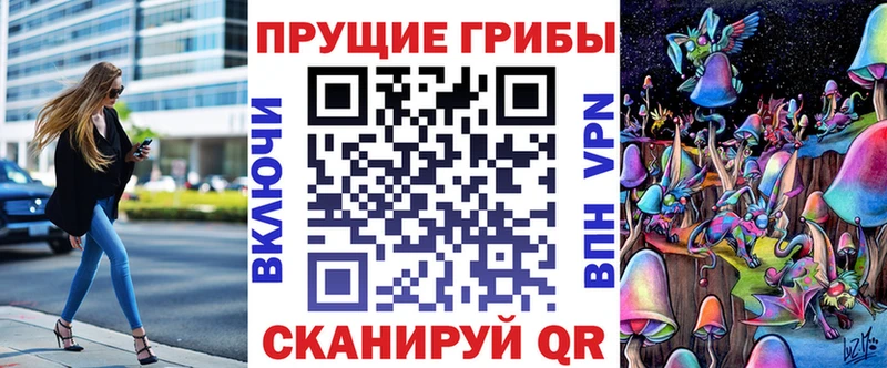 omg как войти  Жиздра  Галлюциногенные грибы Psilocybe 